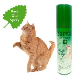 Kedi Otu Oyun Spreyi 150ml