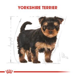 Royal Canin Yorkshire Terrier Junior Yavru Köpek Maması 1.5kg