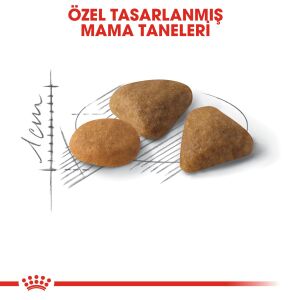 Royal Canin Savour Exigent Seçici Kedi Maması 4kg