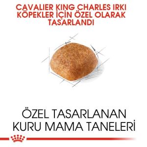 Royal Canin Cavalier King Charles Yetişkin Köpek Maması 3kg