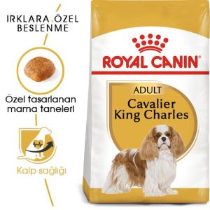 Royal Canin Cavalier King Charles Yetişkin Köpek Maması 3kg