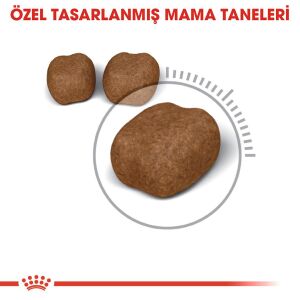 Royal Canin Oral Care Ağız ve Diş Sağlığı için Yetişkin Kedi Maması 1,5kg