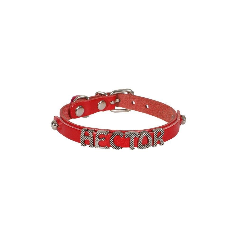 Cattie İsimlikli Deri Kedi Tasması Kırmızı 1X19-23Cm