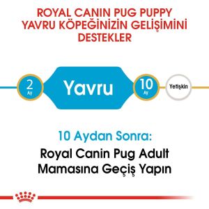 Royal Canin Pug Puppy Yavru Köpek Maması 1,5kg