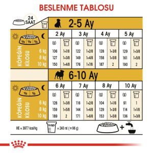 Royal Canin Pug Puppy Yavru Köpek Maması 1,5kg