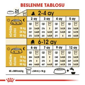 Royal Canin French Bulldog Junior Yavru Köpek Maması 3kg