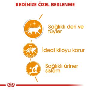 Royal Canin Pouch Hair&Skin Tüy ve Deri Sağlığı için Yaş Kedi Maması 85gr