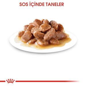 Royal Canin Pouch Hair&Skin Tüy ve Deri Sağlığı için Yaş Kedi Maması 85gr