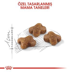 Royal Canin Kitten Yavru Kedi Maması 4kg