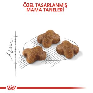 Royal Canin Kitten Yavru Kedi Maması 4kg
