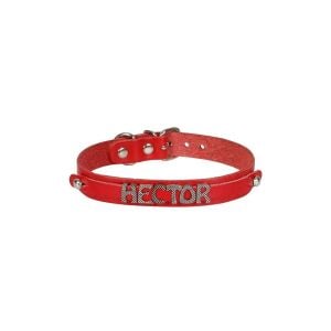 Cattie İsimlikli Deri Kedi Tasması Kırmızı 1,5X26-30Cm