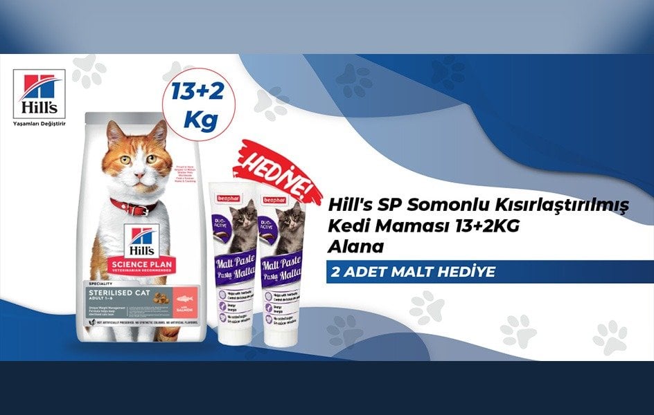 HİLLS