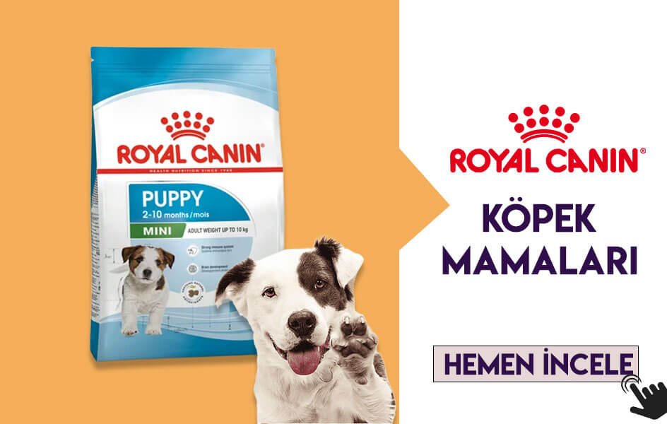 Royal Canin Mama