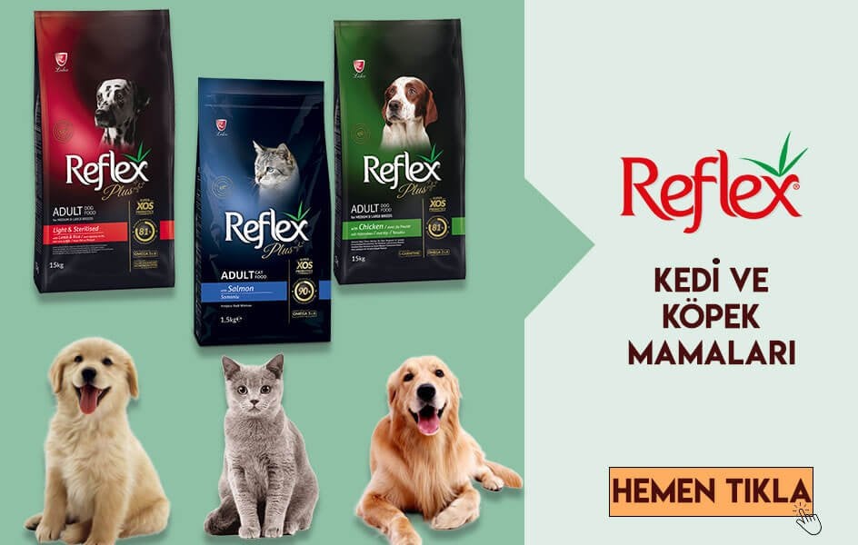Reflex Mama 