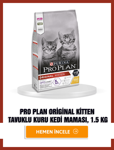 Pro Plan Kitten Tavuklu Yavru Kedi Maması 1.5kg