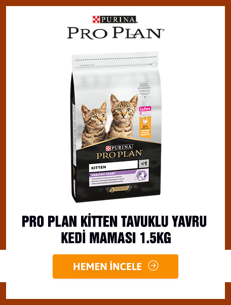 Pro Plan Kitten Tavuklu Yavru Kedi Maması 1.5kg