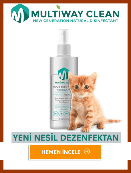 Multiway Clean Animal Antiseptik Sprey 100ml