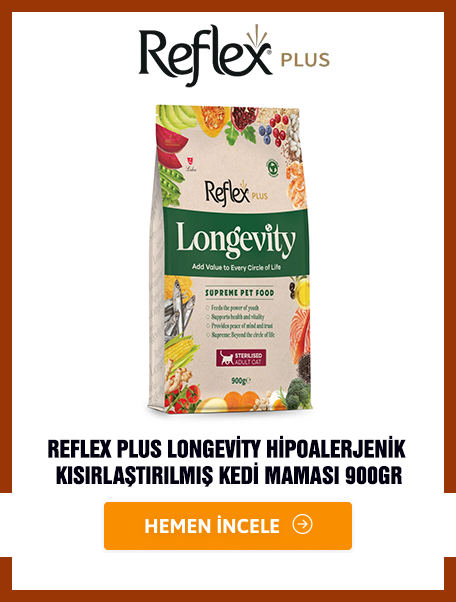 Multiway Clean Animal Antiseptik Sprey 100ml